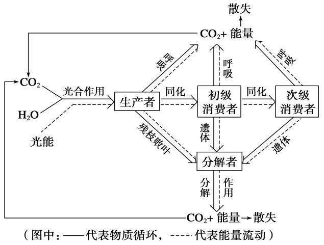 生態(tài)系統(tǒng)的物質(zhì)循環(huán)——物質(zhì)循環(huán)的主要特點(diǎn)